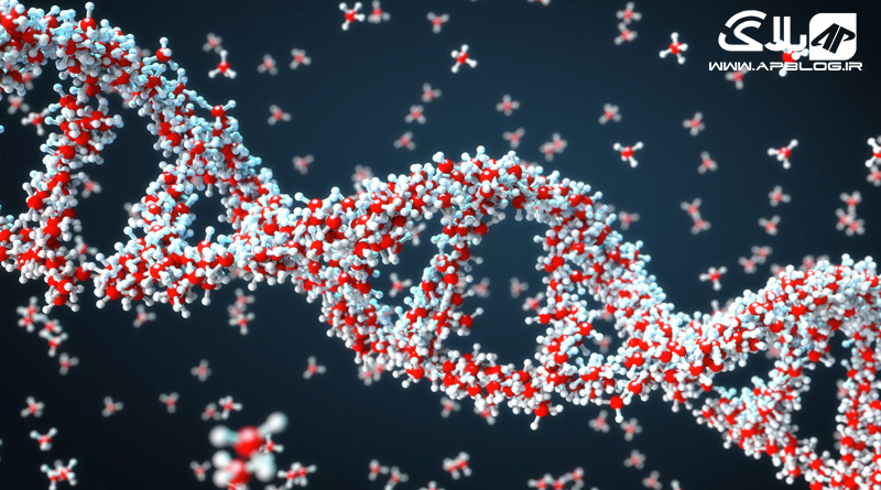 ذخیره سازی اطلاعات روی DNA
