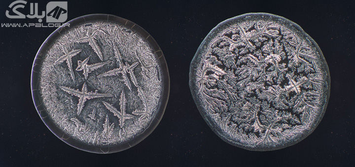 تصاویر میکروسکوپی شگفت انگیز اشک انسان