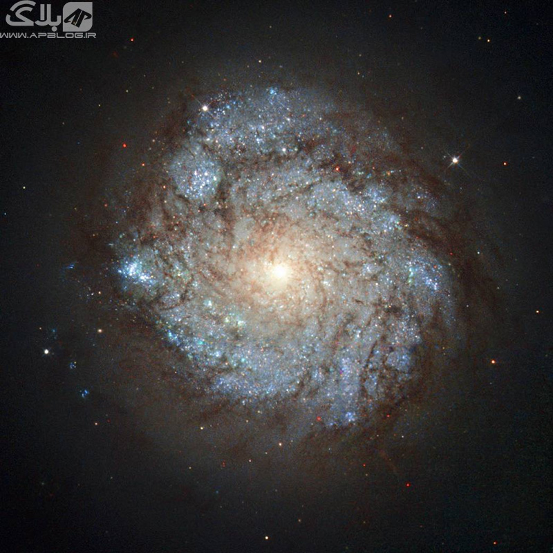 کهکشان NGC 278