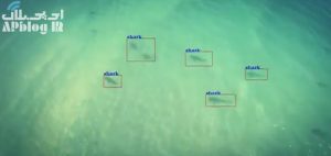 Read more about the article پیش‌بینی حمله کوسه در سواحل استرالیا با استفاده از پهباد و هوش مصنوعی