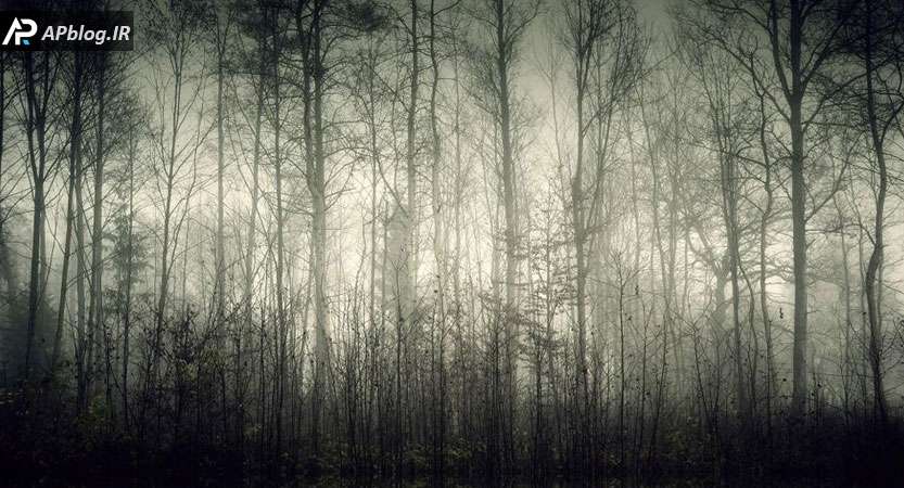 جنگل تاریک - خاطرات تاریک